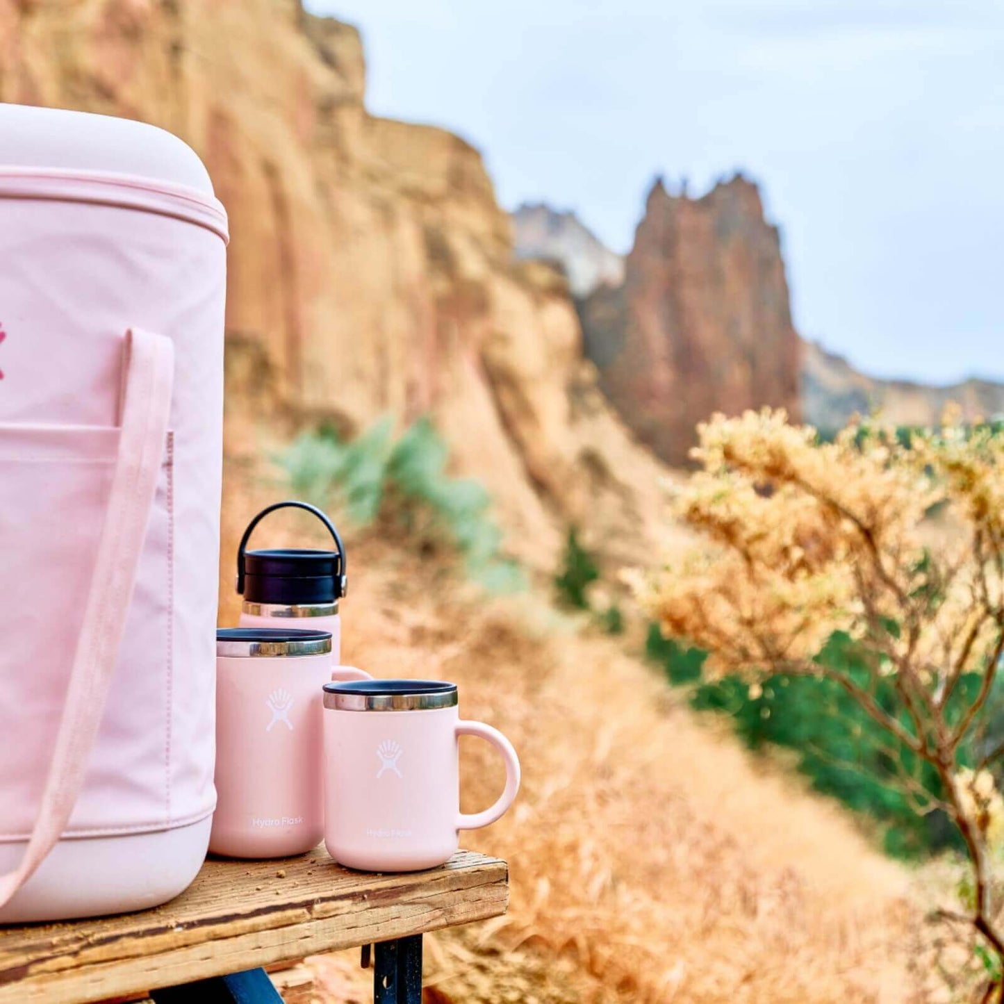 Hydro Flask Nice Mug Bundle