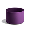 Beachplum Purple