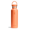 Nectar Orange